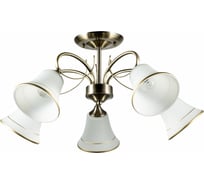 Потолочная люстра Arte Lamp BLOSSOM A2709PL-5AB