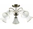 Потолочная люстра Arte Lamp BLOSSOM A2709PL-5AB 1