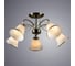 Потолочная люстра Arte Lamp BLOSSOM A2709PL-5AB 2