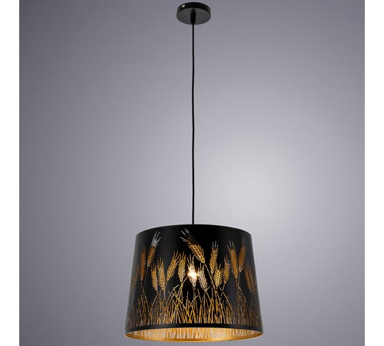 Подвесной светильник Arte Lamp CELESTA A2700SP-1BK