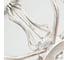 Потолочная люстра Arte Lamp MERRY A2714PL-8WG 3