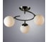 Потолочная люстра Arte Lamp BROOKE A2717PL-3SS 2