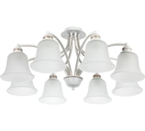Потолочная люстра Arte Lamp EMMA A2713PL-8WG