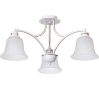 Потолочная люстра Arte Lamp EMMA A2713PL-3WG