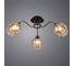 Потолочная люстра Arte Lamp MONICA A3831PL-3AB 2