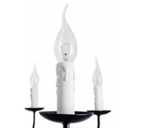 Подвесная люстра Arte Lamp GRAFF A1857LM-8BK