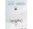 Подвесная люстра Arte Lamp ALBUS A7780SP-5AB 2