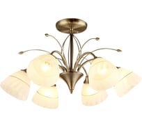 Люстра HIPER 6хE27х60Вт SATIN H026-6