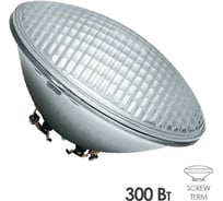Лампа для бассейна FL-LED FL-HP PAR56 300W 12V 1000Н клеммы винтовые 613141