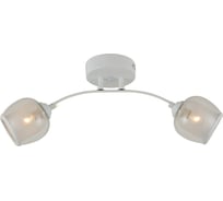 Потолочный светильник HIPER 2хE27х60Вт + LED 7Вт WHITE H807-2