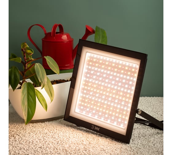 Фитопрожектор для растений светодиодный ЭРА FITO150WRa90LED полного спектра профессиональный 150 Вт Б0059880