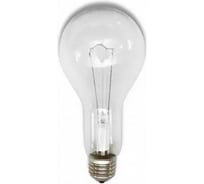 Лампа TDM ELECTRIC (теплоизлучатель) Т220-500 500 Вт, цоколь Е40 (инд.гофр.упак) SQ0343-0036