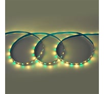 Лента светодиодная General Lighting Systems GLS-Standard GLS-5050-60-14.4-24-IP20-RGB+3, 5 метров, 14,4Вт/м, 24В, 19мм, 60 диодов/м, 12 Лм/чип, IP20, красный, зеленый, синий + 3000K теплый белый 503824