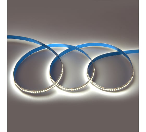 Лента светодиодная General Lighting Systems GLS-Standard General 19,2Вт/м, 24В, IP20, холодный белый свет 6500K, 16Лм GLS-2835-240-19.2-24-IP20-6, 5 метров 501452