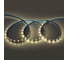 Лента светодиодная General Lighting Systems GLS-Standard GLS-5050-60-14.4-24-IP20-4, 5 метров, 14,4ВТ/м, 24В, 8мм, 60 диодов/м,12 Лм/чип, IP20, 4500K - нейтральный белый свет 503212 1