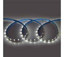 Лента светодиодная General Lighting Systems GLS-Standard GLS-5050-60-14.4-24-IP20-6, 5 метров, 14,4Вт/м, 24В, 8мм, 60диодов/м, 12 Лм/чип, IP20, 6500К - холодный белый свет 503412