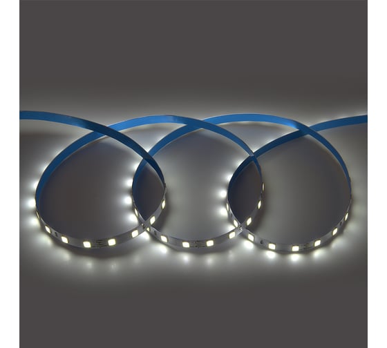 Лента светодиодная General Lighting Systems GLS-Standard General 14,4Вт/м, 24В, IP20, холодный белый свет 6500К, 12Лм GLS-5050-60-14.4-24-IP20-6, 5 метров 503412 1