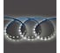 Лента светодиодная General Lighting Systems GLS-Standard GLS-5050-60-14.4-24-IP20-6, 5 метров, 14,4Вт/м, 24В, 8мм, 60диодов/м, 12 Лм/чип, IP20, 6500К - холодный белый свет 503412 1
