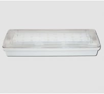 Светильник аварийного освещения Элтех-сервис SL-213-30LED1.8 IP-54 исп.1 00000000003