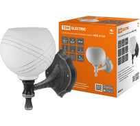 Светильник TDM ELECTRIC НББ 21-60-1322 УХЛ4 черный под серебро, плафон полушар "параллели" SQ0370-0204