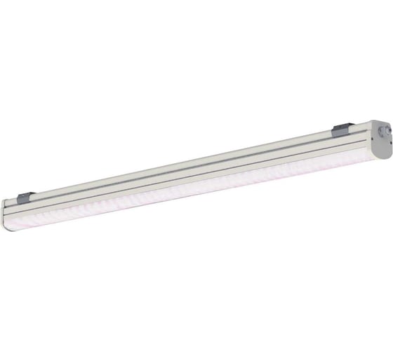 Светильник для растений ЗСП Fito Base LED-20-204 1009020204