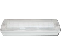 Светильник аварийного освещения Элтех-сервис SL-213-30LED1.8 IP-65 исп. 1 00000000293