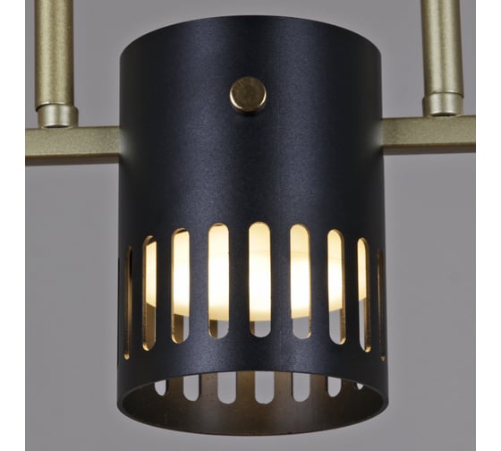 Потолочная люстра ReLuce 06675-0.3-05 GD+BK GX53