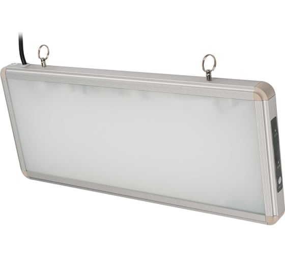 Светильник светодиодный Jazzway PEL 103-1 3Вт 1.2В IP20 аварийно-эвакуационный односторонний (без наклейки) 5062269