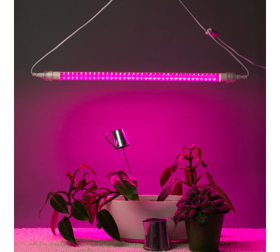 Светильник для растений, фитолампа светодиодная линейная ЭРА FITO9WRbТ8FITOHolder IP65 2хG13 с выключателем Б0069515