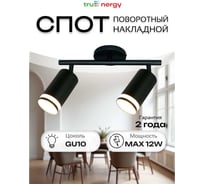 Светильник накладной truEnergy с матовыми кольцами поворотный под лампы 2xGU10 круг чёрный алюминий 21462