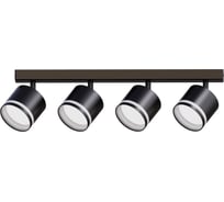 Светильник накладной truEnergy с матовыми кольцами поворотный под лампы 4xGX53 круг чёрный алюминий 21394