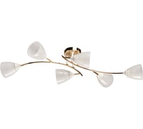 Люстра De City Восторг 6x60W E27 220V 242018006