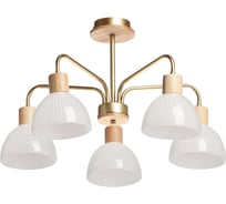 Люстра De City Дэла 5x60W, E27, 220V 635016405