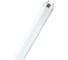 Линейная люминесцентная лампа OSRAM L 18W/830 25X1 4050300517810 1