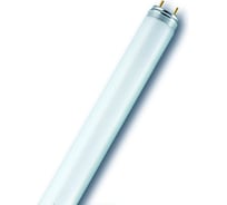 Линейная люминесцентная лампа OSRAM L 58W/840 25X1 LF 4050300517957