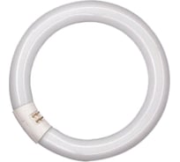 Линейная люминесцентная лампа OSRAM L 22W/827 C G10Q 12X1 4008321581068