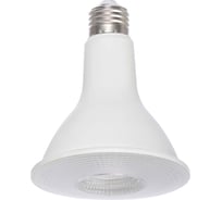 Светодиодная лампа Ledcraft PAR30 патрон Е-27, 12 Ватт, холодный белый 1628060010