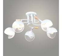 Люстра Росток N6406/5 WT+WOOD белый 5x60W E27 d610 h250, QH24 988385424