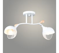 Люстра Росток N6406/2 WT+WOOD белый 2x60W E27 d500 h250, QH24 988385422