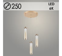 Подвес Росток 2663/3HQ FGD+AM золото, 3x8W, LED, 6000К, d250, h1000, GNV24 988383179