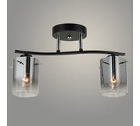 Люстра Росток 07369/2 BK+CR черный/хром, 2x40W, E27, d370, h220, GNV24 988384387