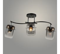 Люстра Росток 07370/3 BK+CR черный/хром, 3x40W, E27, d460, h280, GNV24 988384393