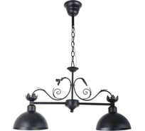 Люстра De City Аида 2x40W, E27, 220V 323017002