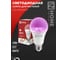 Лампа светодиодная IN HOME LED-A65-ФИТО 25Вт 230В Е27 4690612057712 2