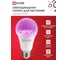 Лампа светодиодная IN HOME LED-A65-ФИТО 25Вт 230В Е27 4690612057712 4