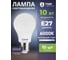 Лампа светодиодная General Lighting Systems GLDEN-WA60-10-230-E27-6000 10Вт 770Лм 6000К-холодно-белый цоколь Е27 груша упаковка 10шт 662202 3