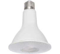 Светодиодная лампа Ledcraft PAR30 патрон Е-27, 6 Ватт, теплый белый 1628060005