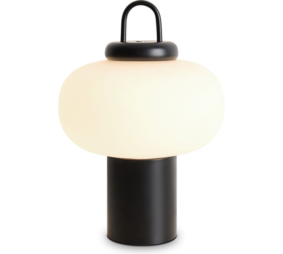 Настольный светильник Freya Take FR6175TL-L10B