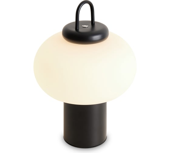 Настольный светильник Freya Take FR6175TL-L10B