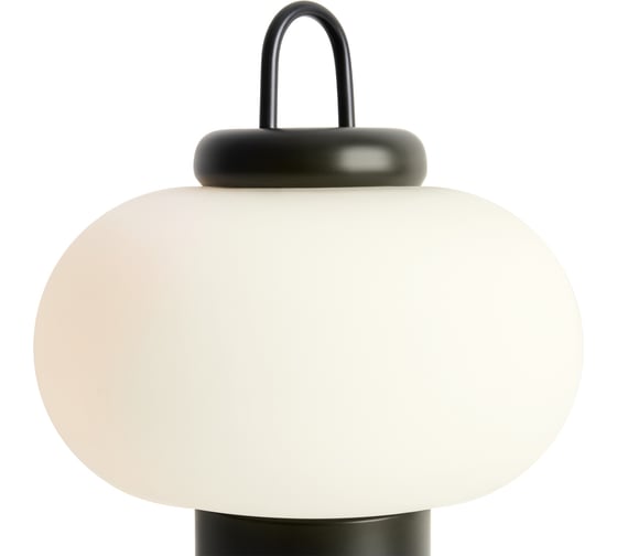 Настольный светильник Freya Take FR6175TL-L10B